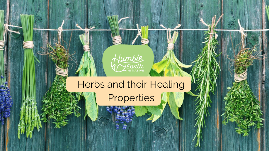 herbs with healing properties